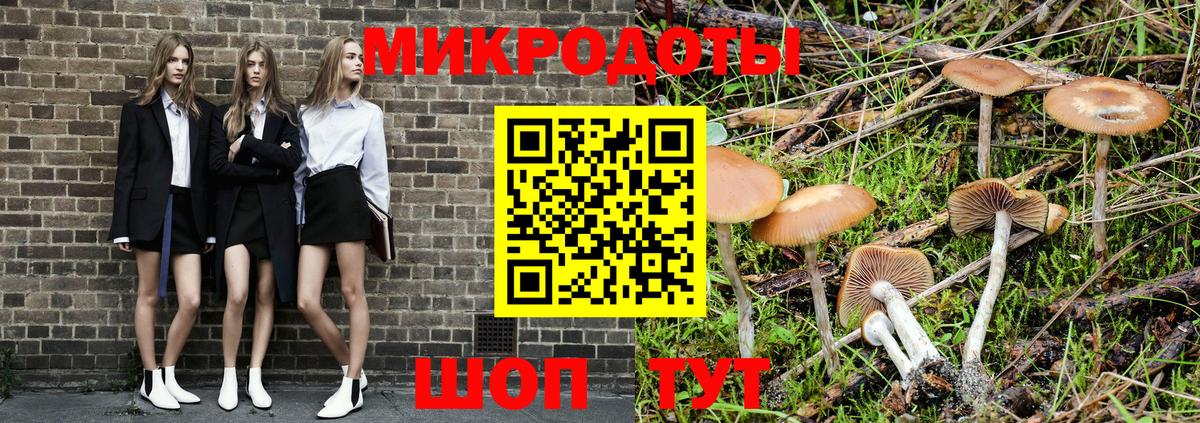 Галлюциногенные грибы GOLDEN TEACHER Канск