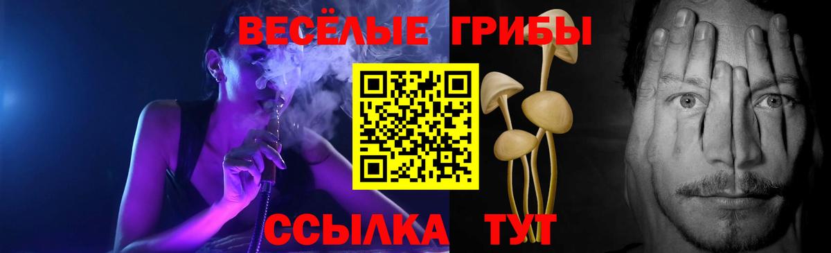 Псилоцибиновые грибы мухоморы  Вход с VPN  Канск 